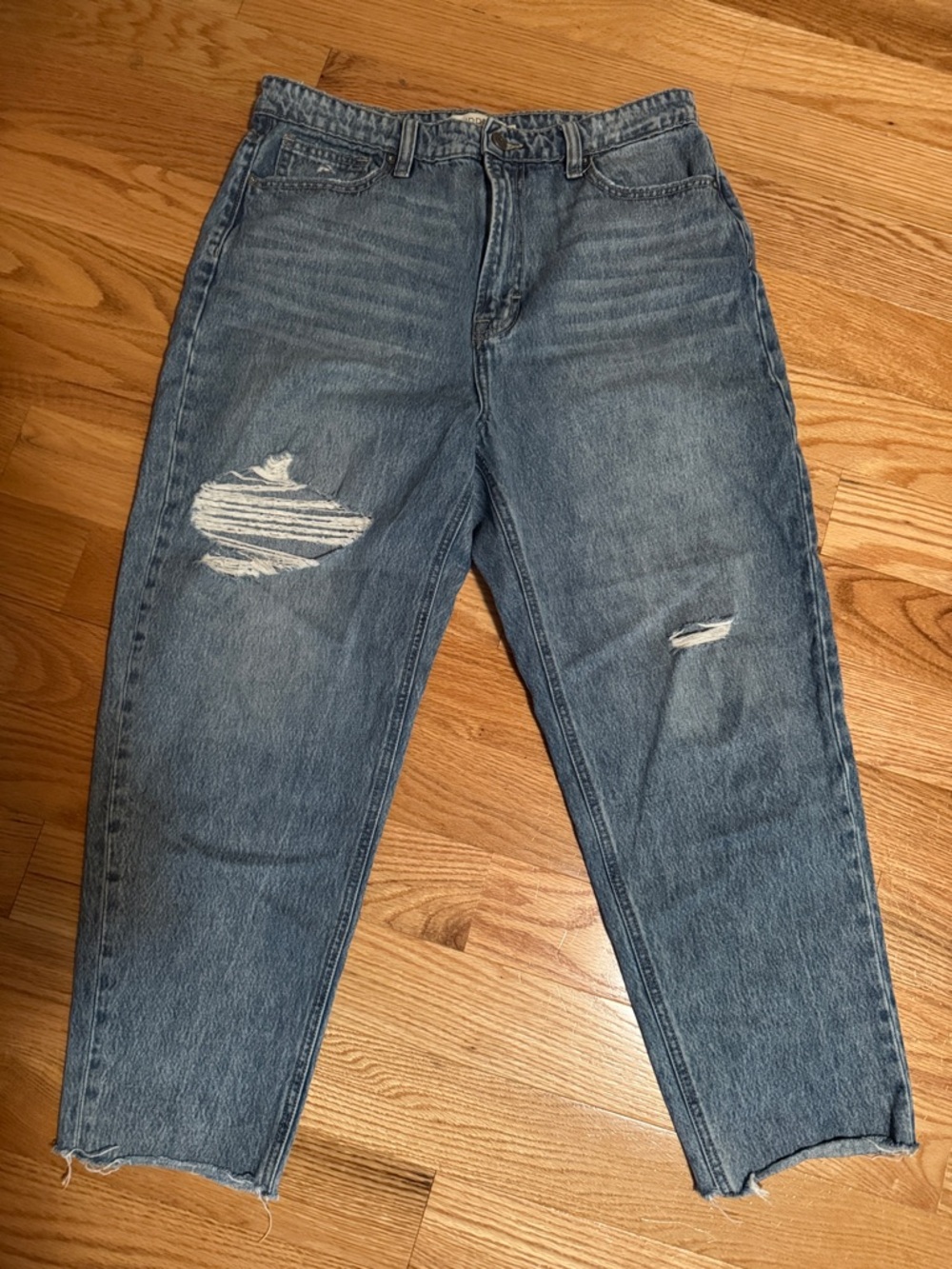 Hidden Los Angeles Denim Jeans size 30 High Rise Baggy Raw Hem